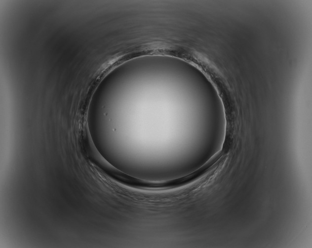 X0000085051169200703051410