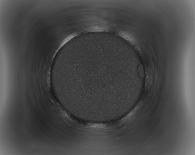 X0000085051170200703051410