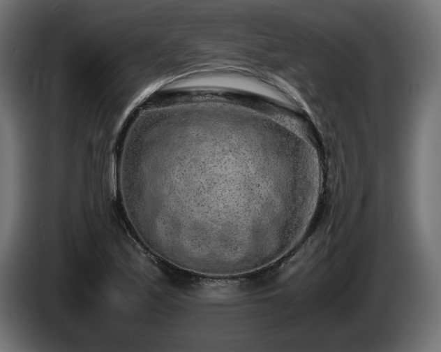 X0000085051171200703051410