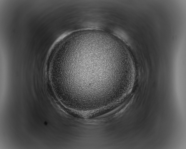 X0000085051172200703051410