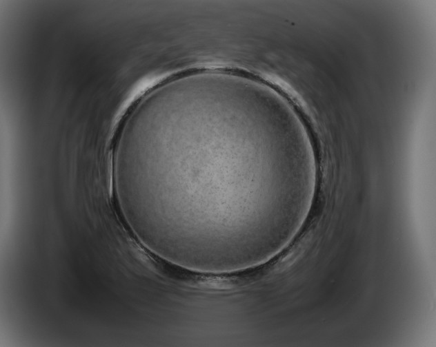 X0000085051175200703051410