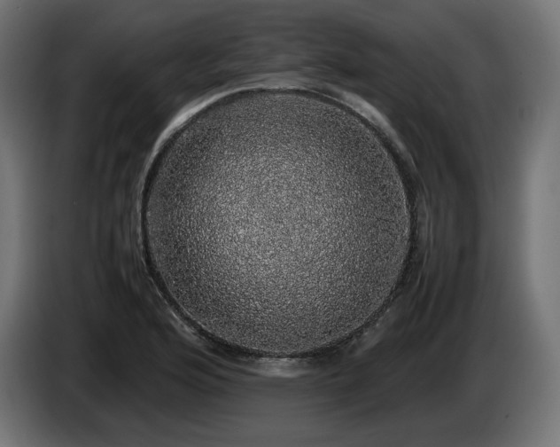X0000085051176200703051410