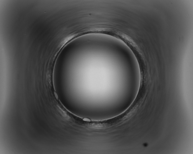 X0000085051177200703051410