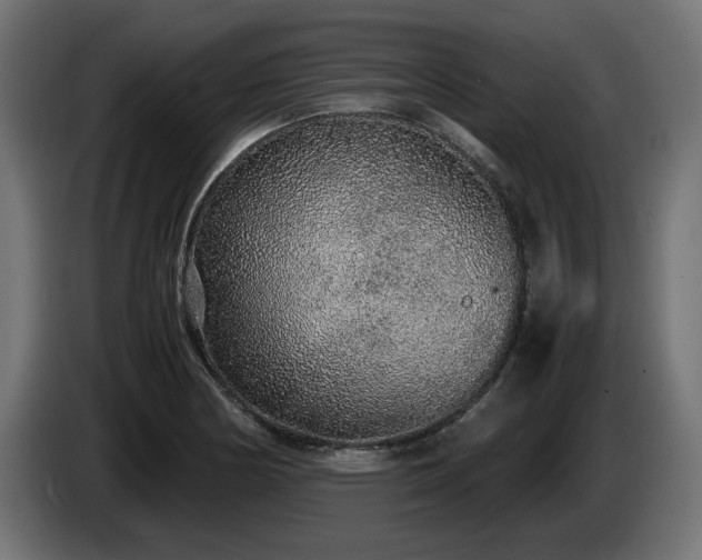 X0000085051178200703051410
