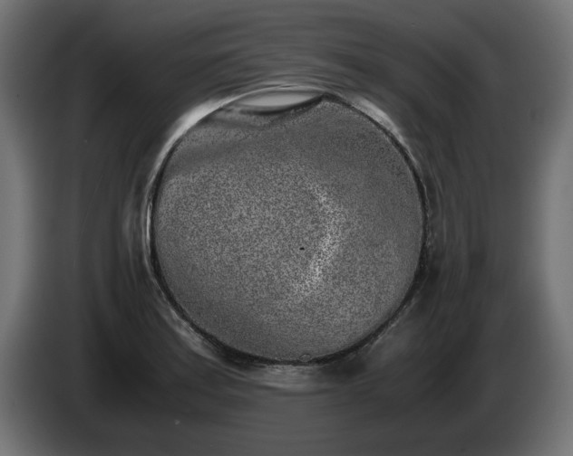 X0000085051179200703051410