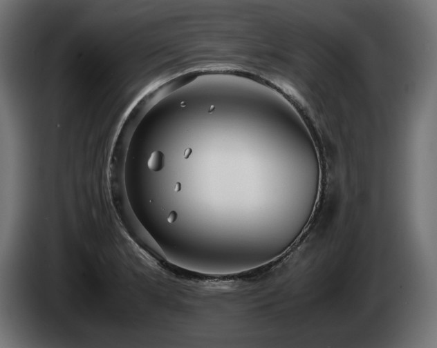 X0000085051181200703051410