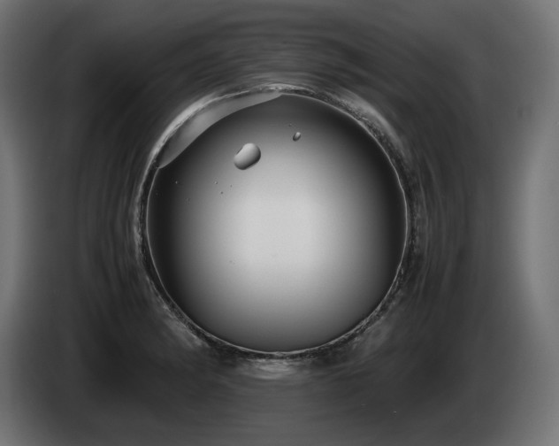 X0000085051182200703051410