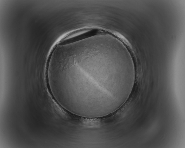 X0000085051183200703051410