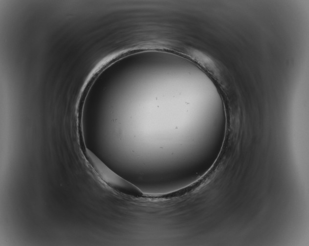 X0000085051184200703051410