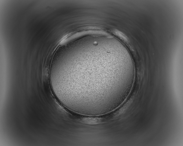 X0000085051185200703051410
