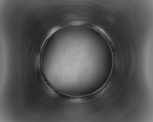 X0000085051186200703051410