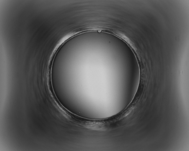 X0000085051187200703051410