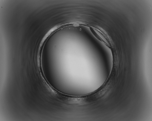 X0000085051188200703051410