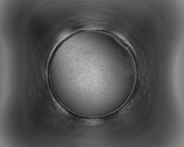 X0000085051189200703051410