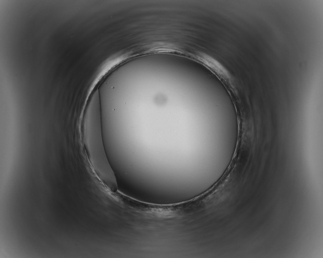 X0000085051190200703051410