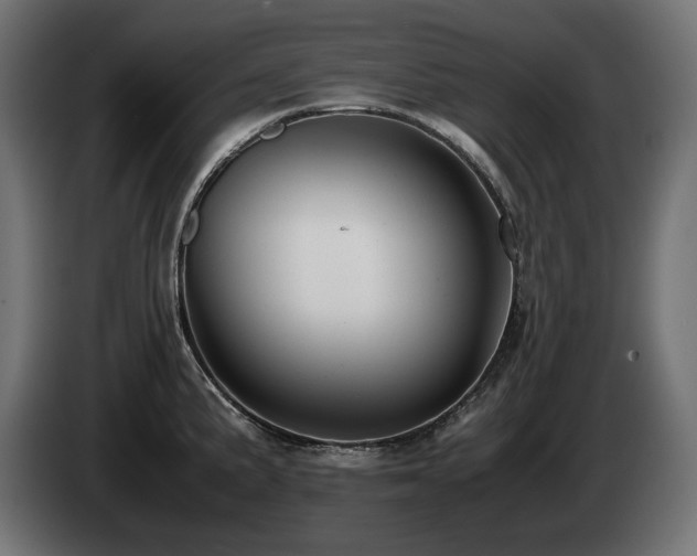 X0000085051191200703051410