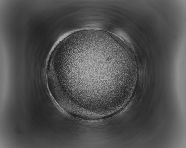 X0000085051192200703051410