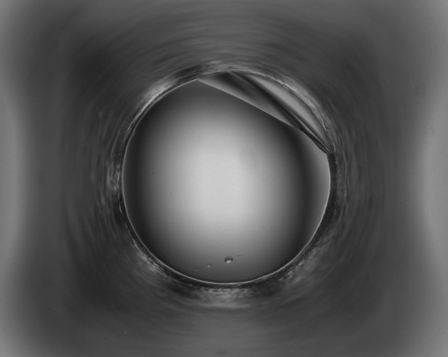 X0000085051193200703051410