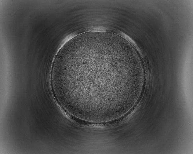 X0000085051194200703051410