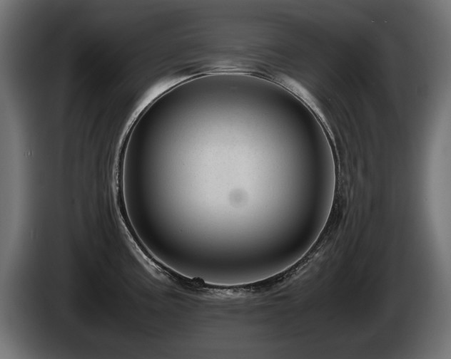 X0000085051195200703051410