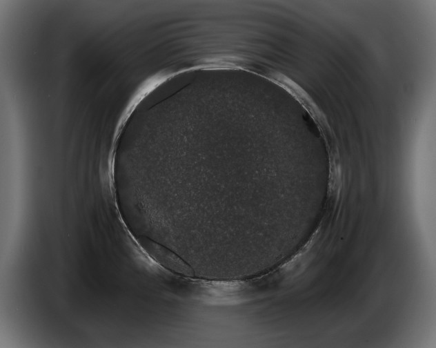 X0000085051196200703051409