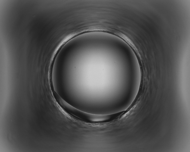 X0000085051197200703051409