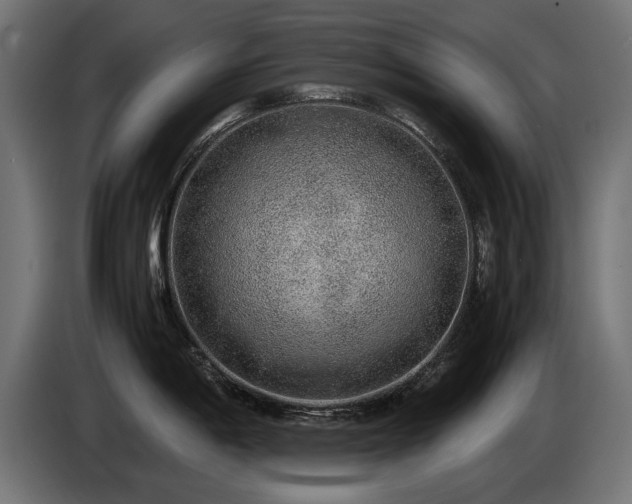X0000085051198200703051409