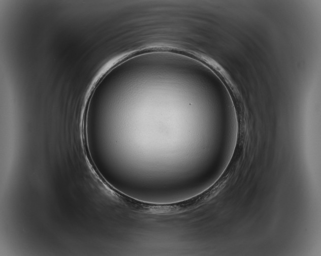X0000085051199200703051409