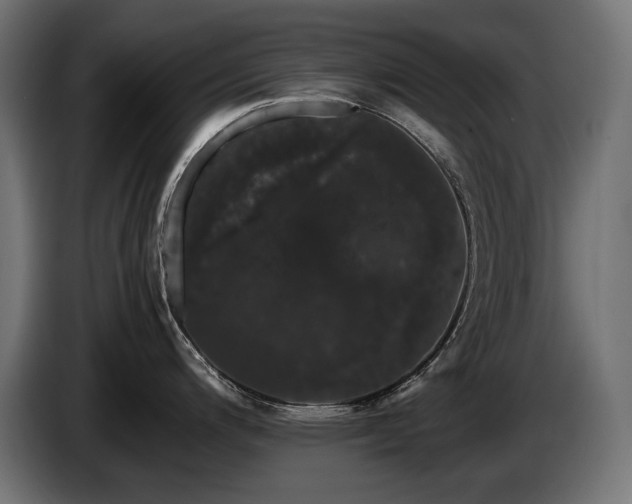 X0000085051200200703051409