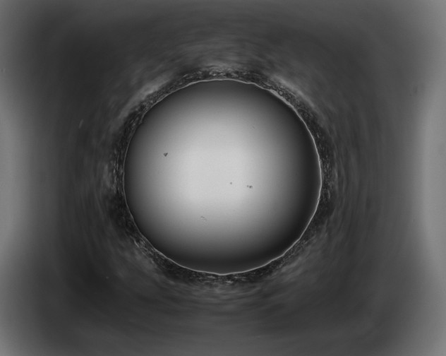 X0000085051207200703051409