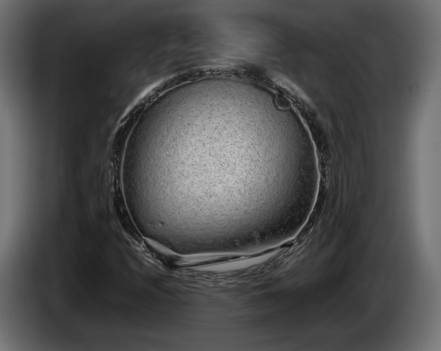 X0000085051208200703051409