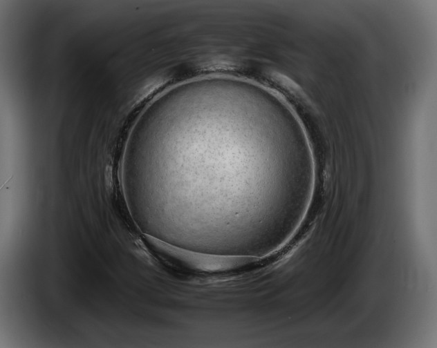 X0000085051209200703051409
