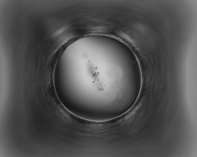 X0000085051211200703051409
