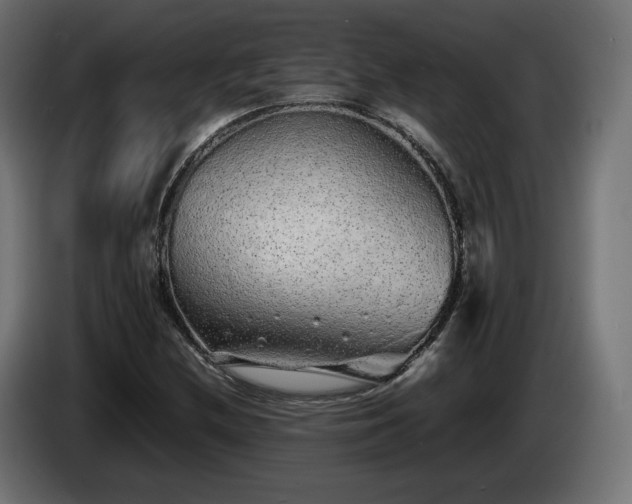 X0000085051212200703051409