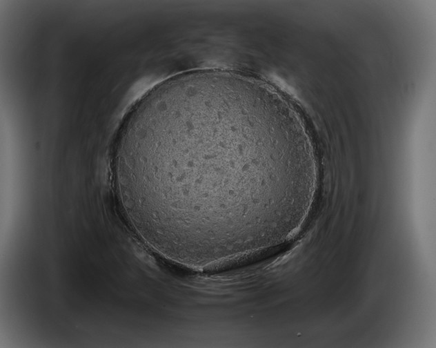 X0000085051215200703051409