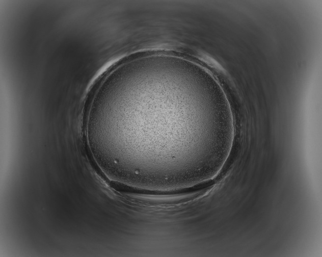 X0000085051216200703051409