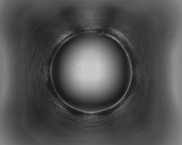 X0000085051217200703051409