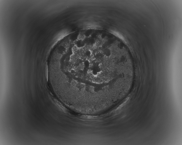 X0000085051219200703051409