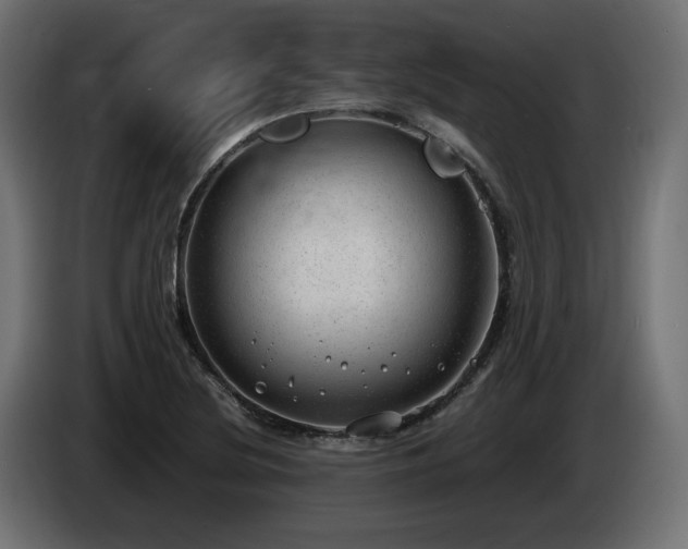 X0000085051220200703051409