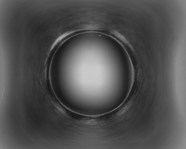 X0000085051222200703051409