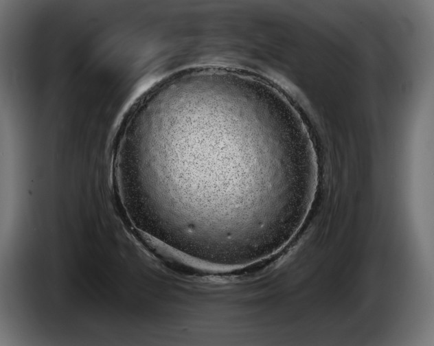 X0000085051224200703051409