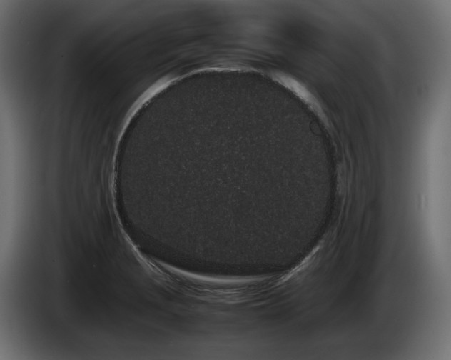 X0000085051229200703051409