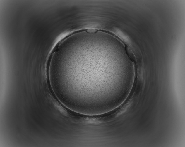 X0000085051230200703051409