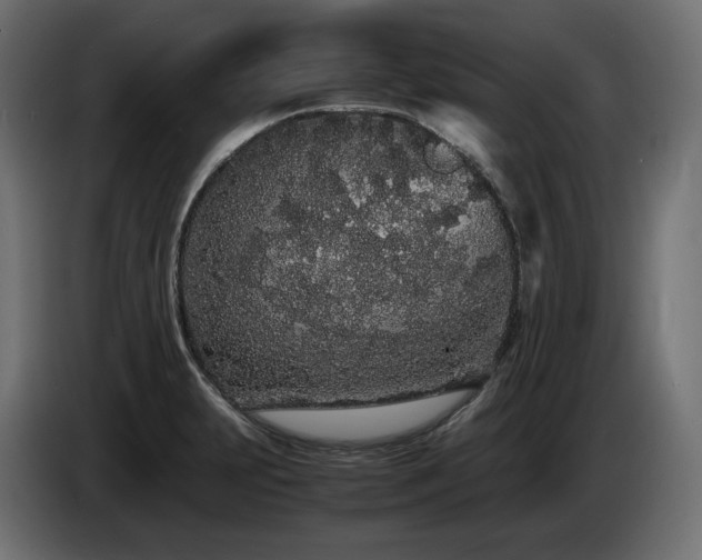 X0000085051231200703051409