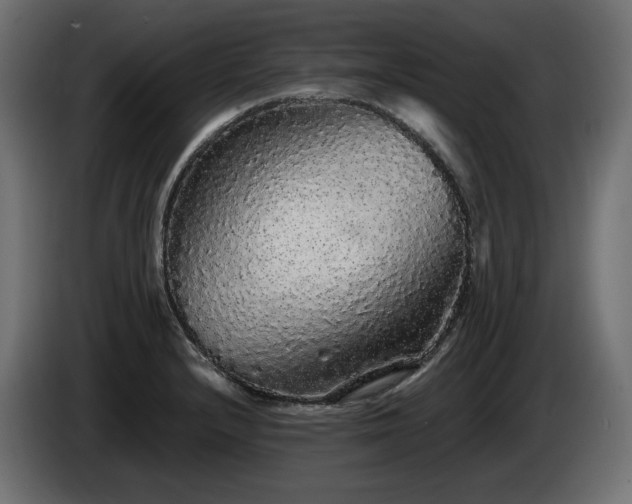 X0000085051232200703051409