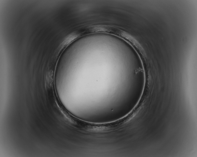 X0000085051233200703051409