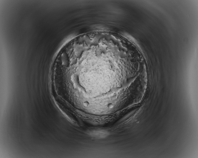 X0000085051235200703051409
