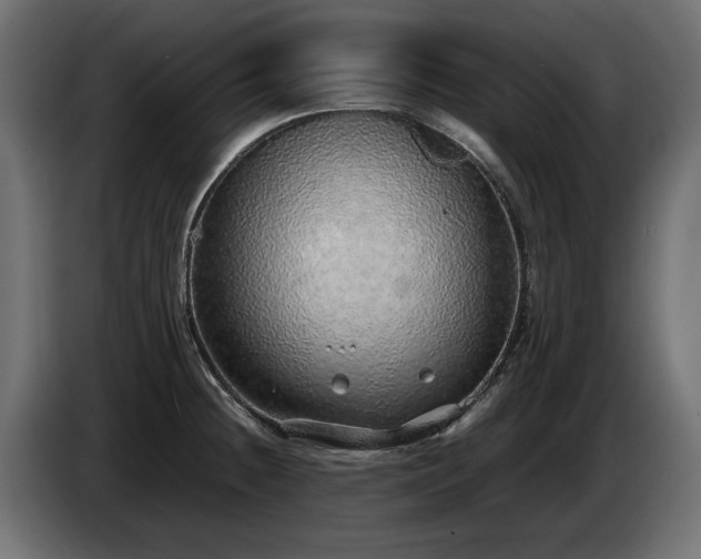 X0000085051236200703051409