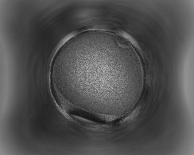 X0000085051237200703051409
