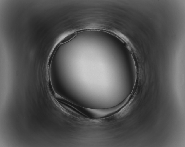 X0000085051238200703051409